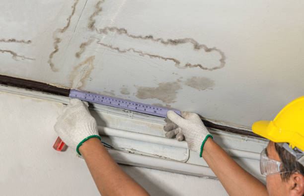 Reliable Mold Remediation contractor in Rock Creek, OH by Local Water Damage Repair